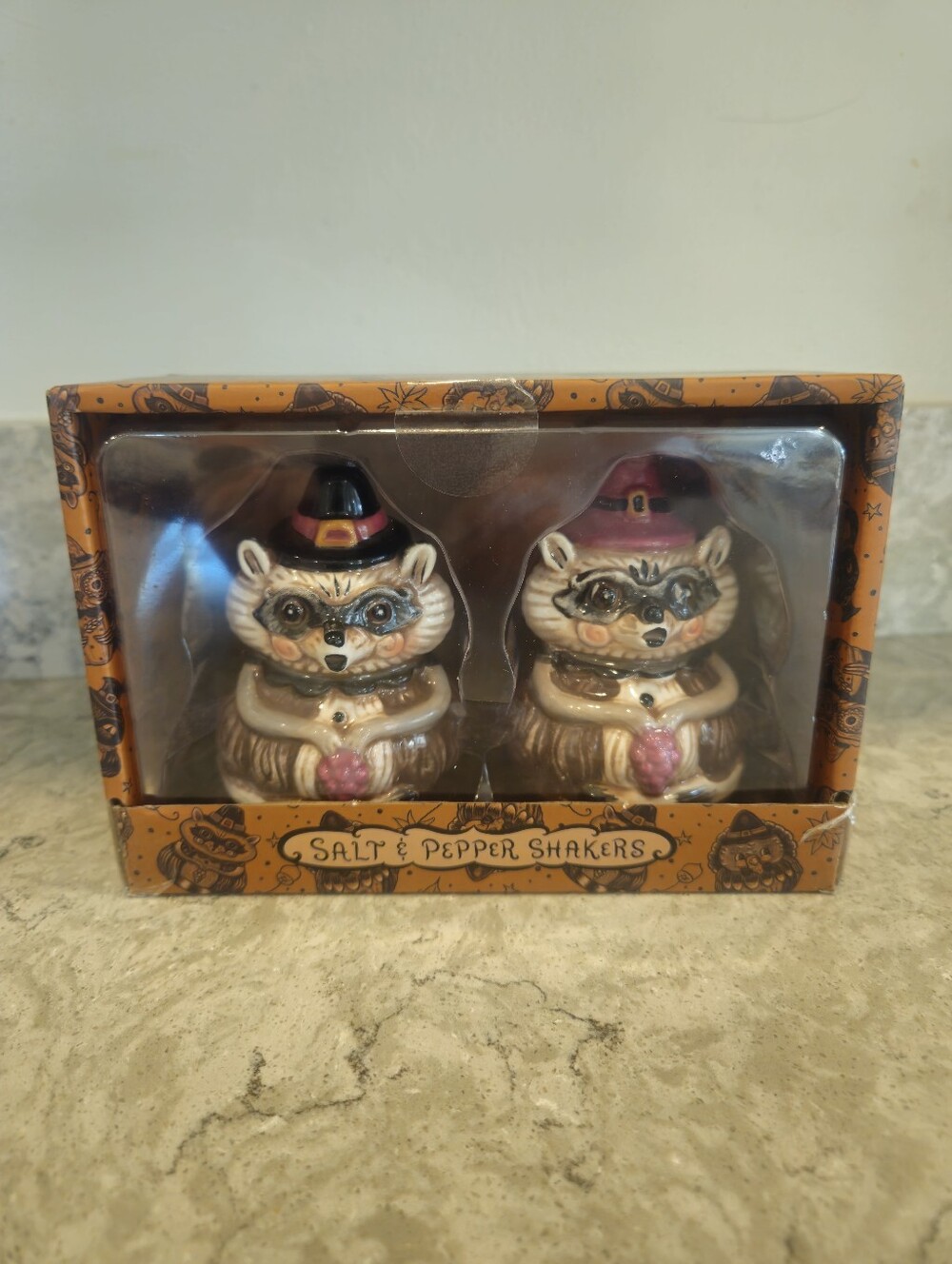 New Johanna Parker Thanksgiving Salt Pepper Shakers Set Fall Raccoon Pilgrim Hat
